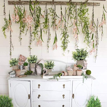 Elegant Mini Potted Eucalyptus & Rosemary Plants for Decor