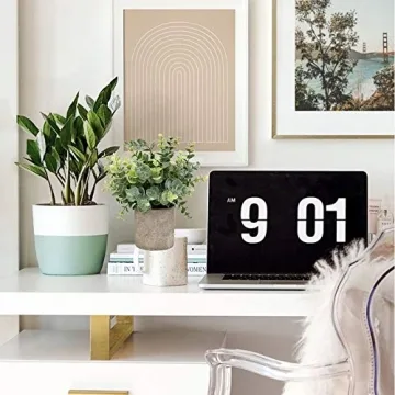 Elegant Mini Potted Eucalyptus & Rosemary Plants for Decor