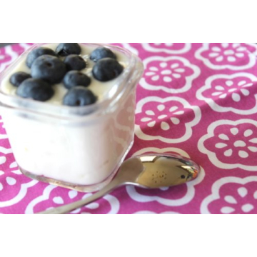 Wean Cube Glass Food Storage Pack of Four 4oz Containers