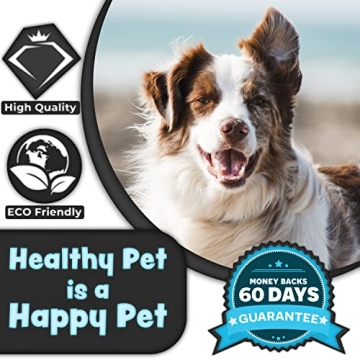 Upgraded H&H Pets Pin Comb for Dogs and Cats with Rubber Handle