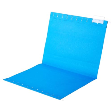 Amazon Basics Hanging Organizer File Folder Pack of 25