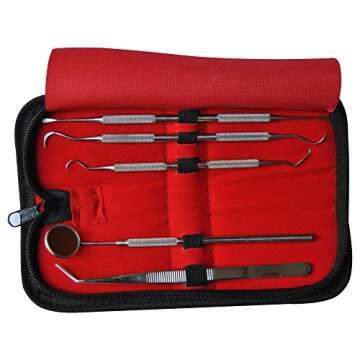 Dental Tools Smile Dent Pro Kit, Stainless Steel Dental Scaler, Mouth Mirror, Tarter Scraper, Tooth ...