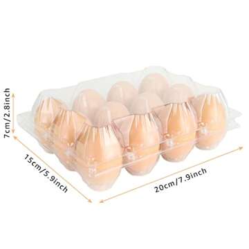 Durable Plastic Egg Cartons - Bulk Clear 12-Egg Packs for Store Display