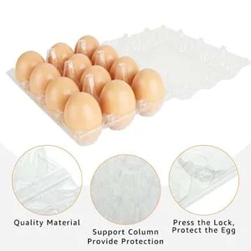 Reusable Plastic Egg Cartons for Secure Storage and Display