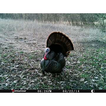 Stealth Cam PX12 with FX Shield Camera