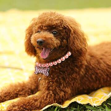 Frienda 5 Pcs Pet Pearl Necklace Diamond Crystal Dog Pearl Necklace Collars with Bling Rhinestones Bone Dog Cat Jewelry Set Wedding Collar for Puppy Pets(S)