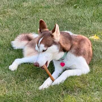 Fieldcrest Farms 6in Bully Crunchers - All-Natural 100% Beef Bully Stick Alternative, Highly Palatable, Easily Digestible, No Additives, Single Ingredient Long-Lasting Chew for Dogs- 6 Pcs