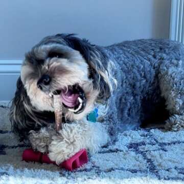 Fieldcrest Farms 6in Bully Crunchers - All-Natural 100% Beef Bully Stick Alternative, Highly Palatable, Easily Digestible, No Additives, Single Ingredient Long-Lasting Chew for Dogs- 6 Pcs