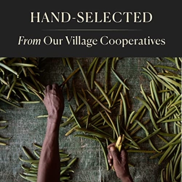 10 Organic Madagascar Vanilla Beans for Baking & Extract