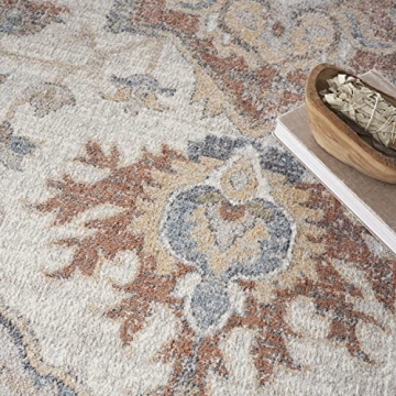 Nourison Astra Grey/Multi Washable Area Rug for Home