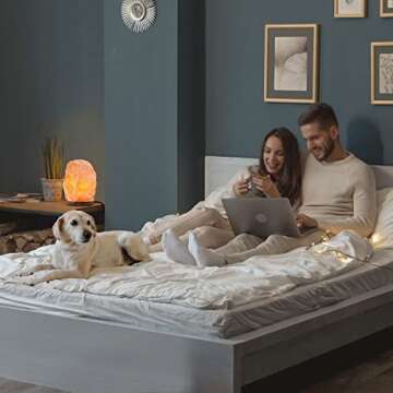 Nevlers 2 Pack Natural Pink Himalayan Salt Lamp with Dimmer Cord & Light Bulb | 6"- 8" Tall Salt Rock Lamp with Wood Base | 100% Authentic Himalayan Pink Salt Lamp | Hand Crafted Salt Lamps