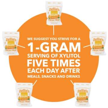 Zellie's | 100% Xylitol Sugar Free Chewing Gum (Fresh Fruit, 240 Count (Pack of 1))