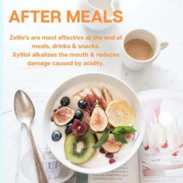 Zellie's | 100% Xylitol Sugar Free Chewing Gum (Fresh Fruit, 240 Count (Pack of 1))