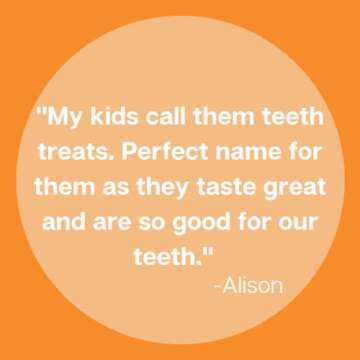 Zellie's | 100% Xylitol Sugar Free Chewing Gum (Fresh Fruit, 240 Count (Pack of 1))