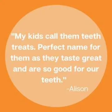 Zellie's | 100% Xylitol Sugar Free Chewing Gum (Fresh Fruit, 240 Count (Pack of 1))