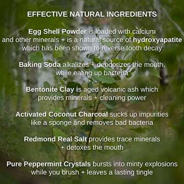 Shwally Magical Tooth Powder W/Hydroxyapatite Cattle Bone & Fluoride Free Amish Eggshell + Organic Peppermint - 100% Fluoride Free ReMineralizing, Whitening & Polishing Powder 200+ Brushings (2 oz)