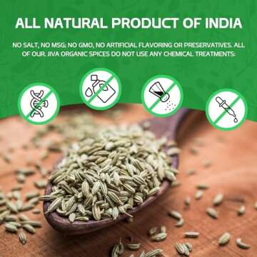 Jiva Organic Fennel Seeds 7 Oz Bag - Non-GMO, Certified, Vegan - Resealable Bag - Product of India