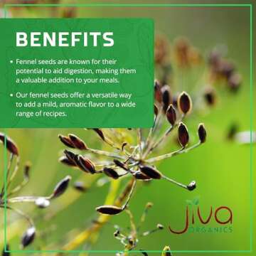Jiva Organic Fennel Seeds 7 Oz Bag - Non-GMO, Certified, Vegan - Resealable Bag - Product of India