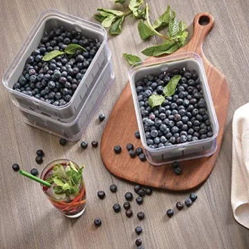 iDesign Crisp Produce Storage Containers for Fresh Food