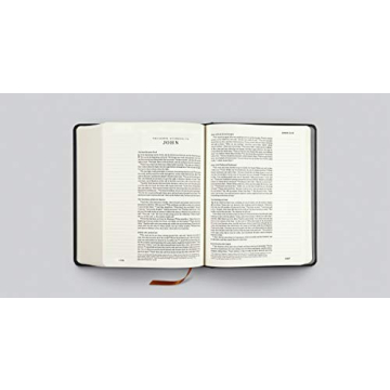 Buy ESV Journaling Bible Artist Series Joshua Noom Online