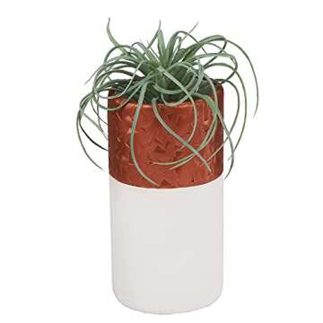 Sculpey Premo Classic Mixing Color sampler pack, 12 colors, Polymer Oven-Bake Clay, Non Toxic, 12 oz., Great for jewelry making, holiday, DIY, mixed media and home décor projects