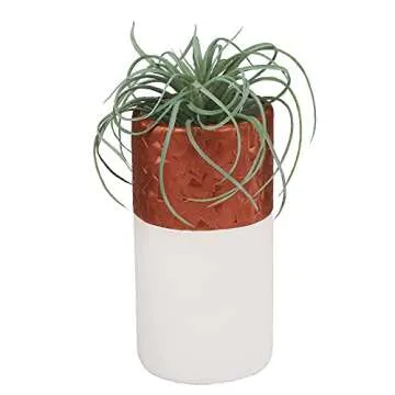 Sculpey Premo Classic Mixing Color sampler pack, 12 colors, Polymer Oven-Bake Clay, Non Toxic, 12 oz., Great for jewelry making, holiday, DIY, mixed media and home décor projects