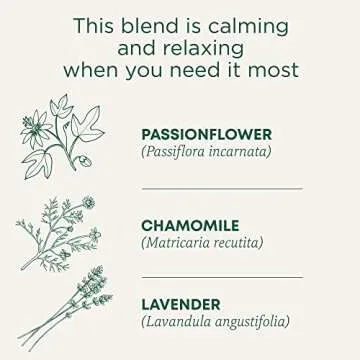 Traditional Medicinals Tea, Organic Cup of Calm, Calming & Relaxing with Chamomile Mint, 16 Tea Bags