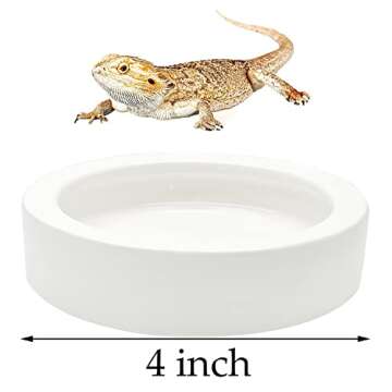 2 Pcs Reptile Food Bowls - Anti-Escape Ceramic Feeder