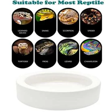 2 Pcs Reptile Food Bowls - Anti-Escape Ceramic Feeder