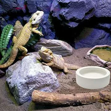 2 Pcs Reptile Food Bowls - Anti-Escape Ceramic Feeder