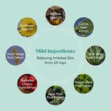 Etude House Premium Lightweight SPF 50+ UV Protection