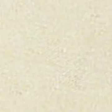 Tirrinia 2 Bottle Wine Tote - Leakproof & Insulated Carrier