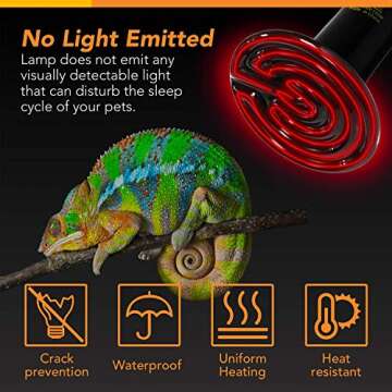 Simple Deluxe 150W Ceramic Reptile Heat Lamp Bulb and 8.5 Inch Reflector Clamp Light Combo for Amphibian Pet, Black