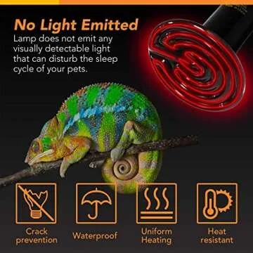 Simple Deluxe 150W Ceramic Reptile Heat Lamp Bulb and 8.5 Inch Reflector Clamp Light Combo for Amphibian Pet, Black