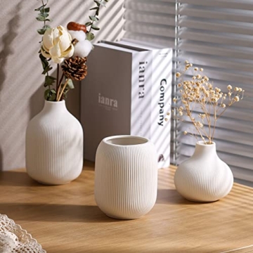 Modern Minimalist White Ceramic Vases Set of 3