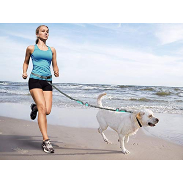 SHINE HAI Retractable Hands Free Dog Leash with Dual Bungees for Dogs, Adjustable Waist Belt Bag, Reflective Stitching Leash for Running Walking Hiking Jogging Biking (for 1 Dog)