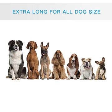 SHINE HAI Retractable Hands Free Dog Leash with Dual Bungees for Dogs, Adjustable Waist Belt Bag, Reflective Stitching Leash for Running Walking Hiking Jogging Biking (for 1 Dog)