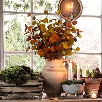 Elegant Ruidazon Orange Eucalyptus Stems for All Occasions