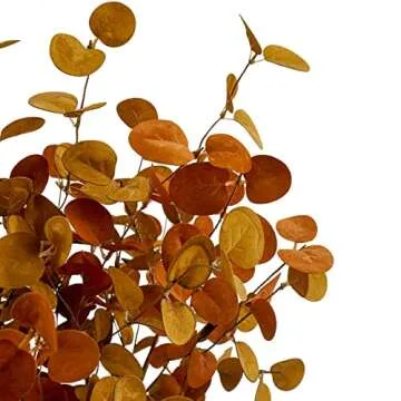 Elegant Ruidazon Orange Eucalyptus Stems for All Occasions