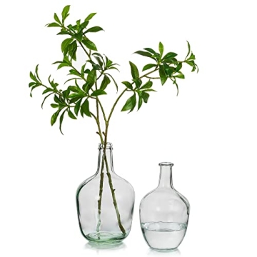 Large Decorative Glass Vases for Home Decor by Hewory