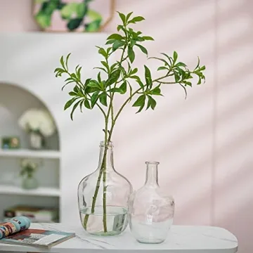 Large Decorative Glass Vases for Home Decor by Hewory