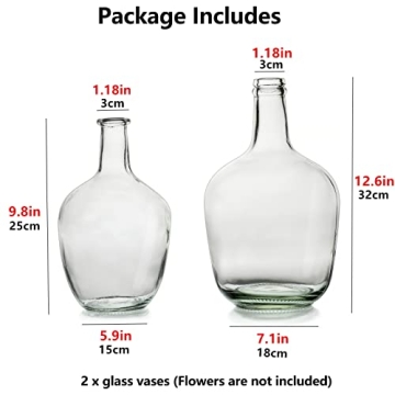 Large Decorative Glass Vases for Home Decor by Hewory