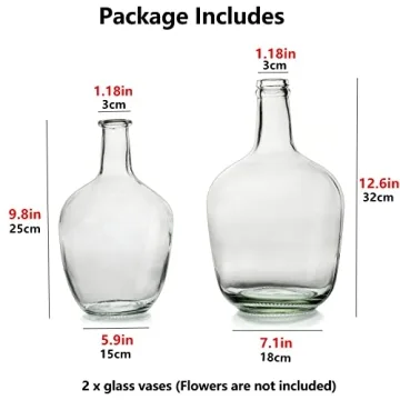Large Decorative Glass Vases for Home Decor by Hewory