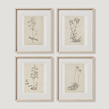 Vintage Botanical Plant Wall Art Prints - Neutral Minimalist Flower Posters Picture for Bedroom, Bat...