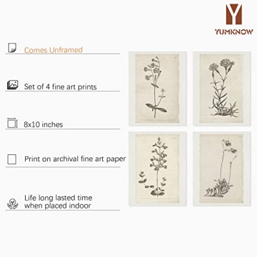 Vintage Botanical Plant Wall Art Prints for Home Decor