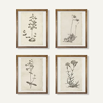 Vintage Botanical Plant Wall Art Prints for Home Decor