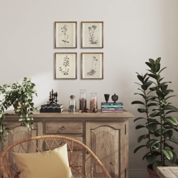 Vintage Botanical Plant Wall Art Prints for Home Decor