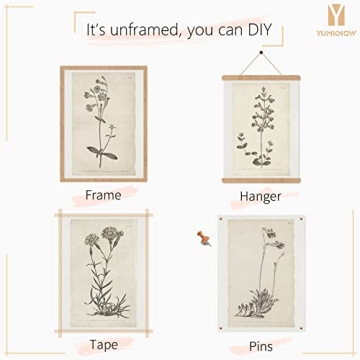 Vintage Botanical Plant Wall Art Prints for Home Decor