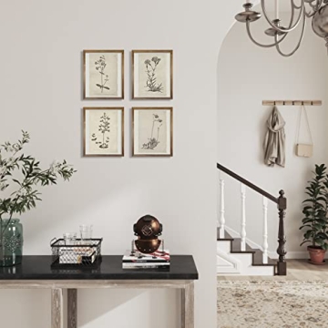 Vintage Botanical Plant Wall Art Prints for Home Decor