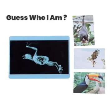 Odoorgames 20 Pieces Animal X-Ray Set - Guess Who I Am ? - Educational Science Kit for Kids: Explore The Fascinating World of Animal Skeletons